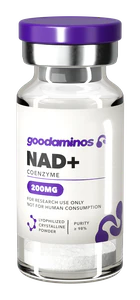NAD+ 200 mg – lyophilisiertes Coenzym-Vial